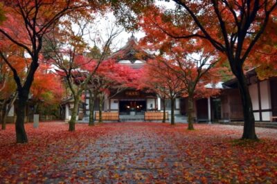 呑山観音寺　紅葉まつり